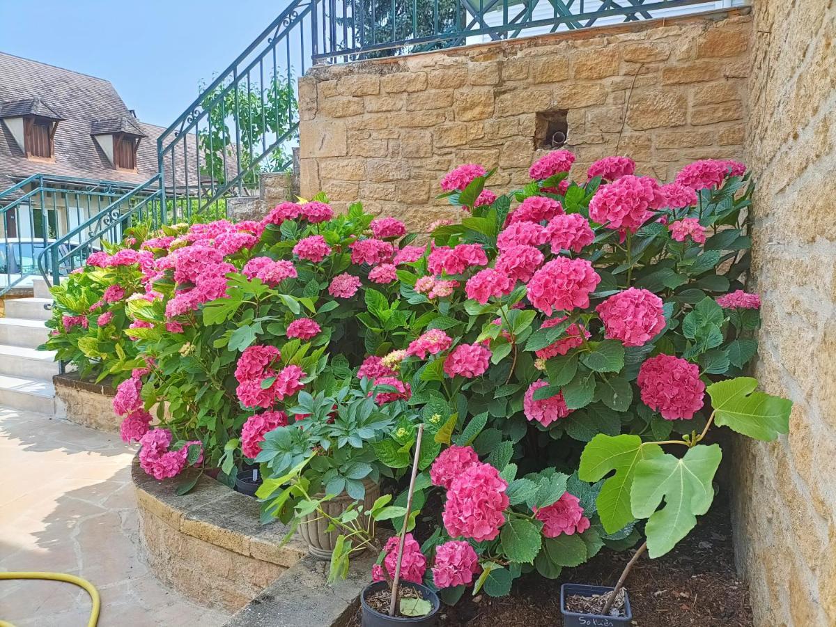 La Villa Perigourdine Sarlat-la-Canéda Buitenkant foto